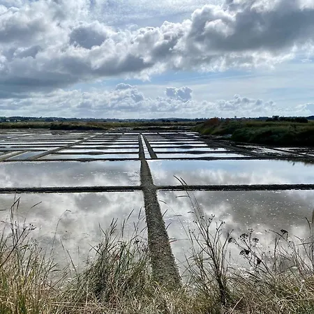 Appartement Plein Sud Les Pieds Dans L'eau Le Croisic