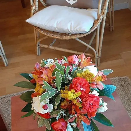 Plein Sud Les Pieds Dans L'eau