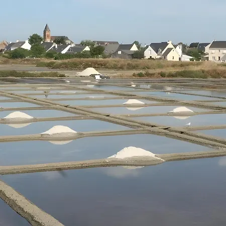 Plein Sud Les Pieds Dans L'eau * Le Croisic