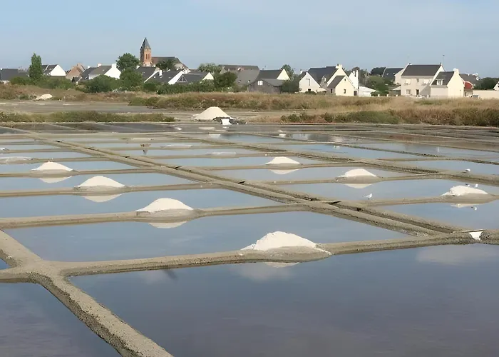 Plein Sud Les Pieds Dans L'eau * Le Croisic