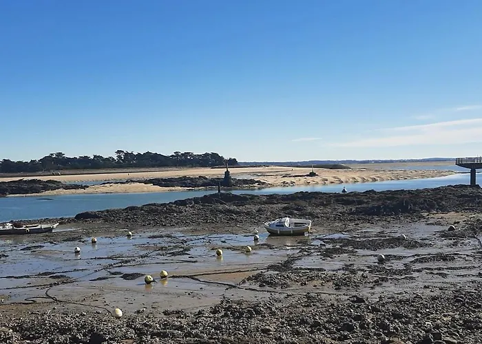 Plein Sud Les Pieds Dans L'eau